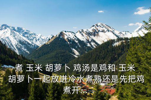 煮 玉米 胡蘿卜 雞湯是雞和 玉米 胡蘿卜一起放進冷水煮熟還是先把雞煮開...