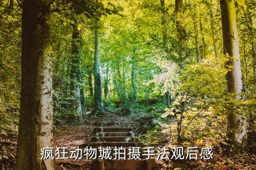 瘋狂動物城拍攝手法觀后感