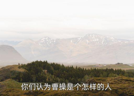 你們認為曹操是個怎樣的人