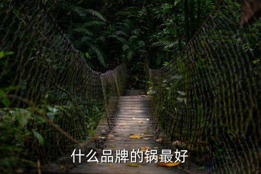 什么品牌的鍋?zhàn)詈? class=