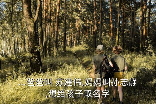 ...爸爸叫 蘇建偉,媽媽叫孫志靜,想給孩子取名字