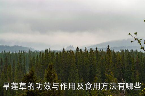 旱蓮草的功效與作用及食用方法有哪些