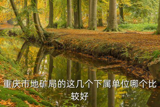 重慶市地質隊改制，2013年重慶地勘局將如何進行改制