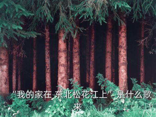 家在東北歌詞,東北-1/流亡人民張1935年創作抗日歌曲