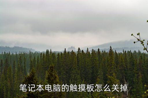 筆記本電腦的觸摸板怎么關(guān)掉