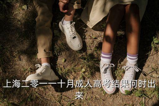 上海二零一一十月成人高考結果何時出來