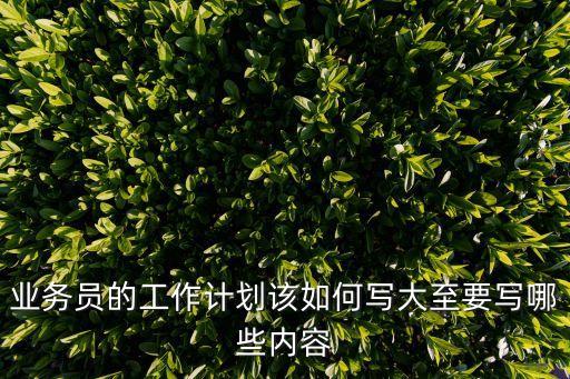 業(yè)務(wù)員的工作計(jì)劃該如何寫(xiě)大至要寫(xiě)哪些內(nèi)容