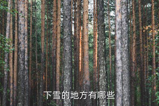 下雪的地方有哪些