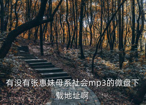 有沒有張惠妹母系社會mp3的微盤下載地址啊
