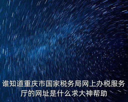 國家稅務中總局重慶市電子稅務局，在重慶國稅電子稅務局購買了發票回來怎么處理