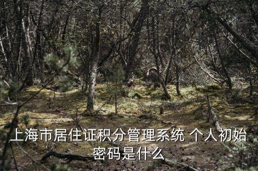 上海市居住證積分管理系統(tǒng) 個(gè)人初始密碼是什么