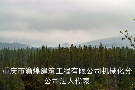 重慶市渝煌建筑工程有限公司機(jī)械化分公司法人代表