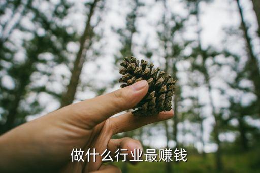 做什么行業最賺錢
