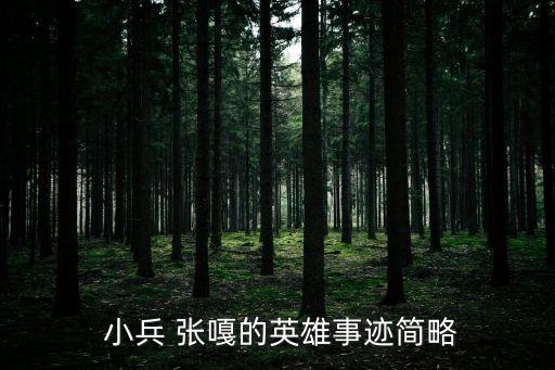  小兵 張嘎的英雄事跡簡略
