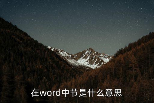 在word中節是什么意思