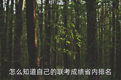 怎么知道自己的聯考成績省內排名