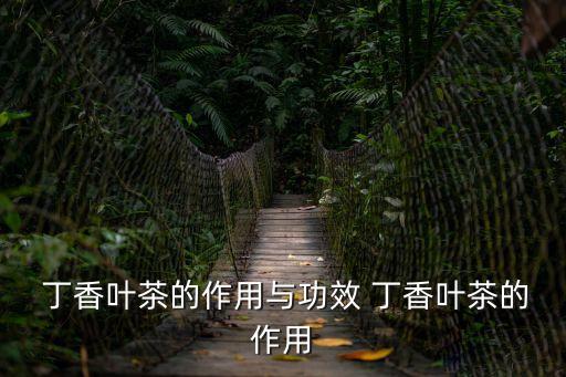  丁香葉茶的作用與功效 丁香葉茶的作用