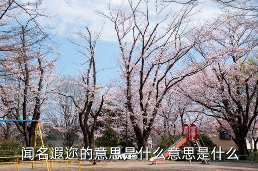 聞名遐邇是什么意思,導游介紹:生肖龍聞名遐邇