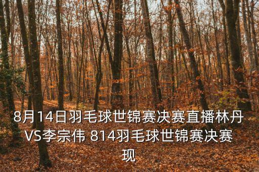 林丹羽毛球視頻，8月14日羽毛球世錦賽決賽直播林丹VS李宗偉 814羽毛球世錦賽決賽現
