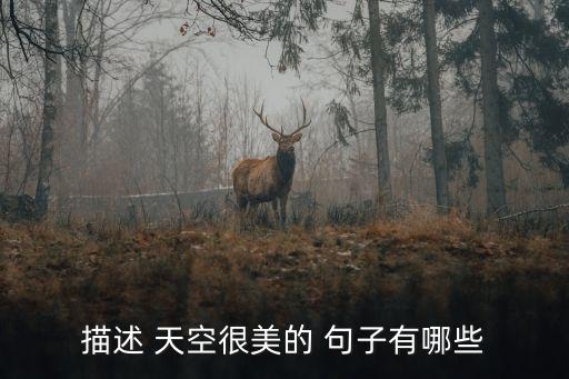 描述 天空很美的 句子有哪些