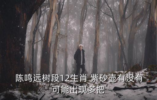 陳鳴遠(yuǎn)紫砂壺,紫砂壺陳是誰?