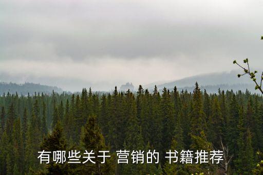 營銷類書籍,營銷管理真教材營銷小說分兩派