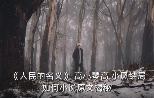 《人民的名義》 高小琴高 小鳳結局如何小說原文揭秘