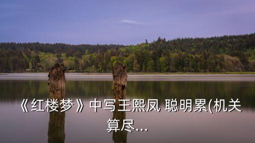 《紅樓夢(mèng)》中寫(xiě)王熙鳳 聰明累(機(jī)關(guān)算盡...
