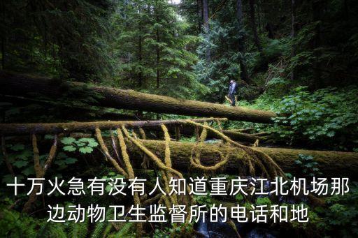 十萬火急有沒有人知道重慶江北機場那邊動物衛生監督所的電話和地