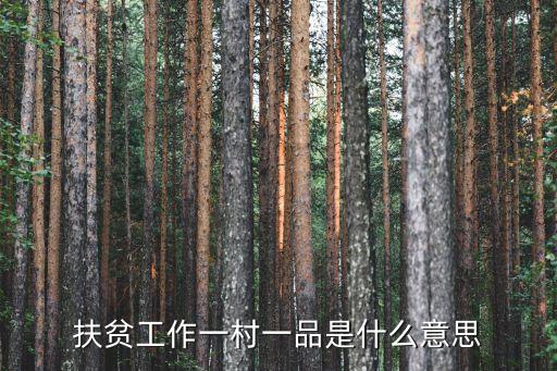 扶貧工作一村一品是什么意思