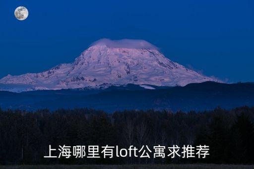 上海哪里有l(wèi)oft公寓求推薦