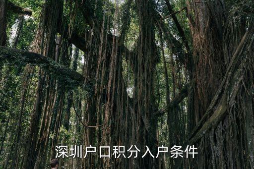深圳積分入戶2023年政策，估計深圳的積分入戶政策明年會有啥變化