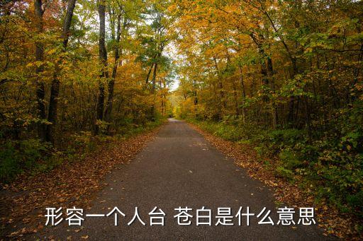 形容一個人臺 蒼白是什么意思