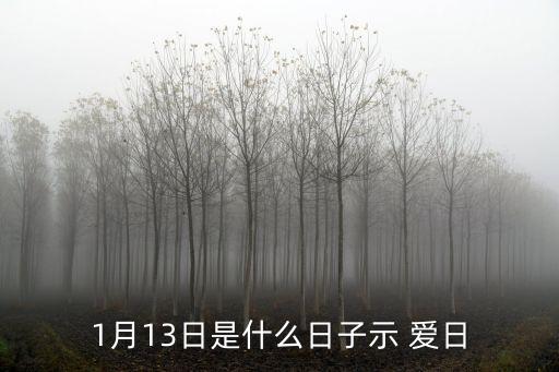1月13日是什么日子示 愛日