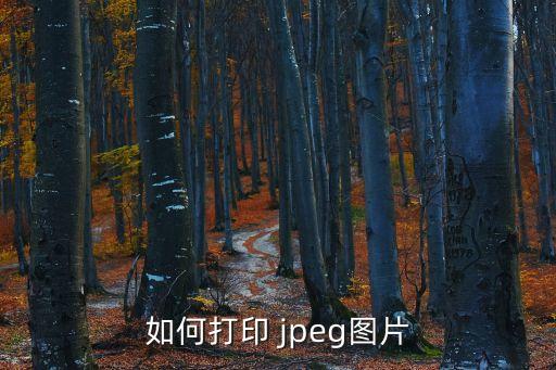 jpeg圖片,怎么用jpegformat打印機看電腦屏幕