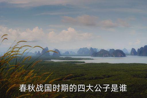春秋戰(zhàn)國時期的四大公子是誰