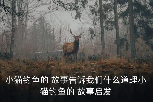 小貓釣魚的 故事告訴我們什么道理小貓釣魚的 故事啟發(fā)