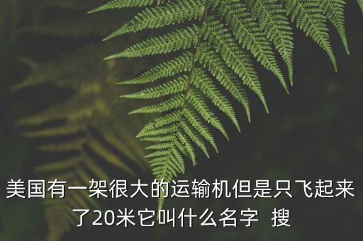 美國有一架很大的運輸機但是只飛起來了20米它叫什么名字  搜