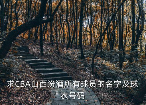 求CBA山西汾酒所有球員的名字及球衣號碼