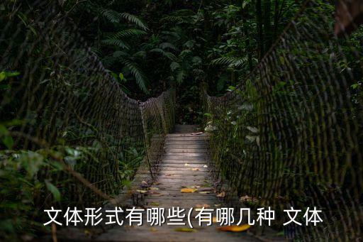  文體形式有哪些(有哪幾種 文體