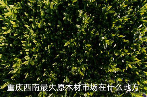 重慶西南最大原木材市場在什么地方