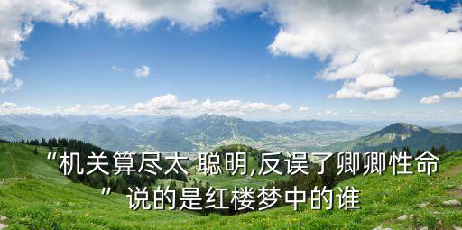 “機(jī)關(guān)算盡太 聰明,反誤了卿卿性命”說(shuō)的是紅樓夢(mèng)中的誰(shuí)