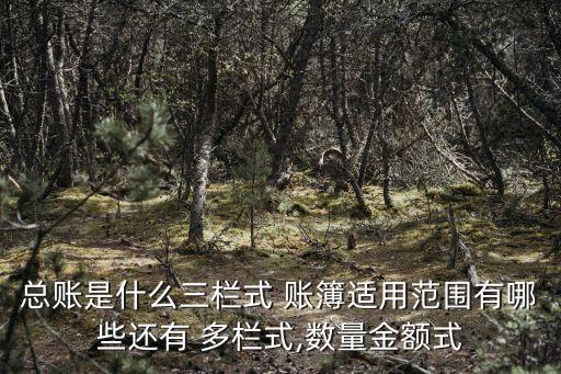 多欄式賬簿,財政預算案2021:總賬賬簿登記三大類目