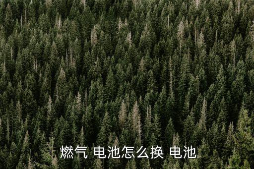 燃氣表電池怎么換,燃氣table需要更換電池?