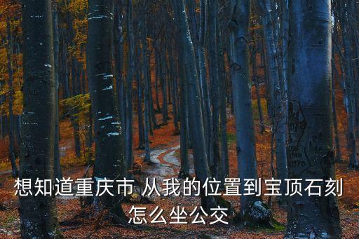 想知道重慶市 從我的位置到寶頂石刻怎么坐公交