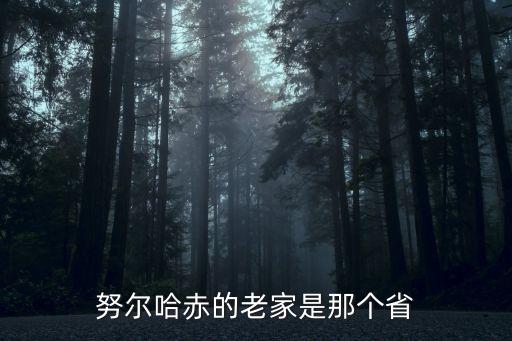 努爾哈赤是哪里人，努爾哈赤出生地在哪