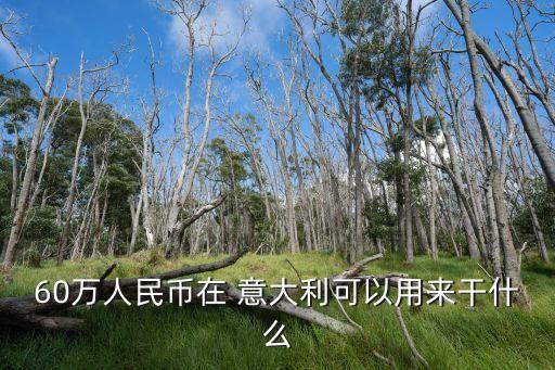意大利生活,意大利人均月工資在1500歐元到2000歐元