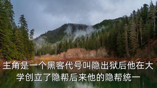 主角是一個(gè)黑客代號(hào)叫隱出獄后他在大學(xué)創(chuàng)立了隱幫后來他的隱幫統(tǒng)一