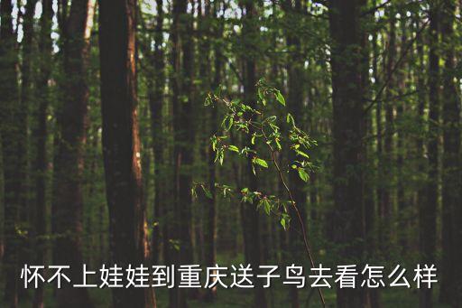 懷不上娃娃到重慶送子鳥去看怎么樣