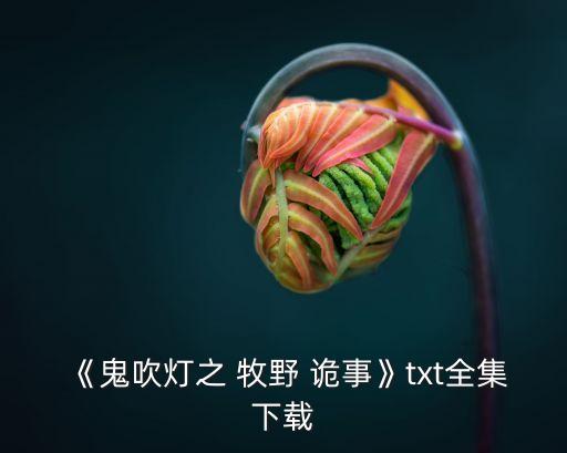 《鬼吹燈之 牧野 詭事》txt全集下載